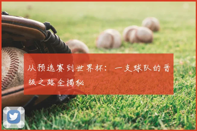从预选赛到世界杯:一支球队的晋级之路全揭秘